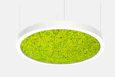 IntraLighting Acousto